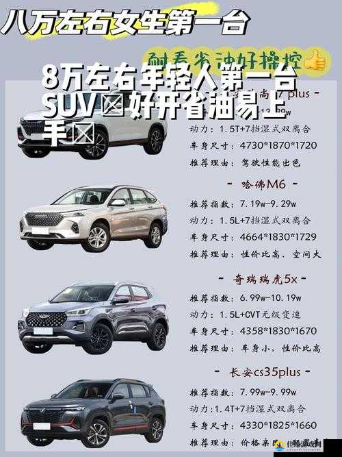 497799 欧洲版的国产 SUV 高性价比性能逆袭：引领汽车市场新潮流